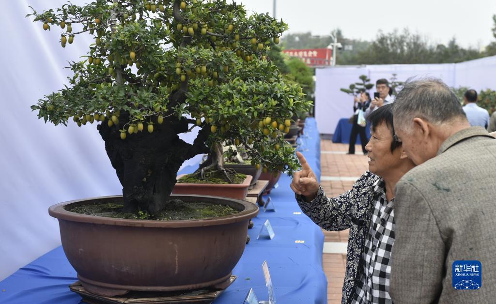 mg官网游戏城